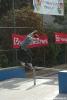 Jindra Koten - bs smith