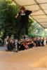 Tommy Sandoval - fs overcrooked