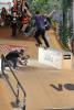 Chris Cole - fs 180 to ss bs crooked revert