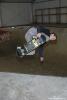 Michal Musil - bs nosegrab
