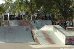 Fanda Fekete - ollie