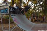 ollie