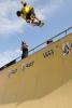 bs indy nosebone